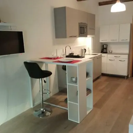 상 르 레자르 사를 * 니스