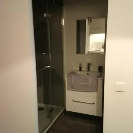 상 르 레자르 사를 *